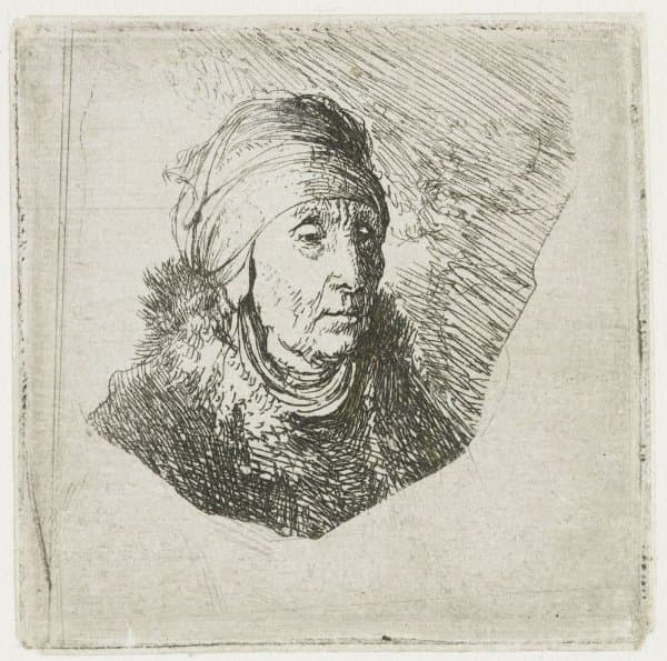 Woman with a high headdress wrapped around the chin: bust — Rembrandt van Rijn