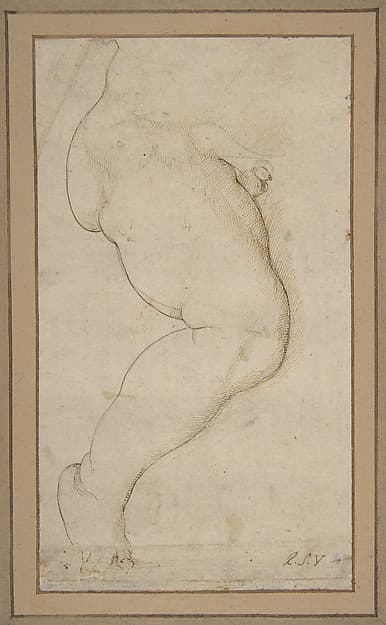 Study of the Right Leg of a Male Child — Raphael