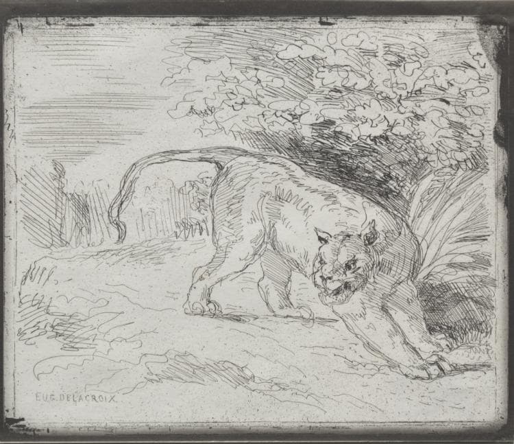 A Trapped Tiger — Eugène Delacroix